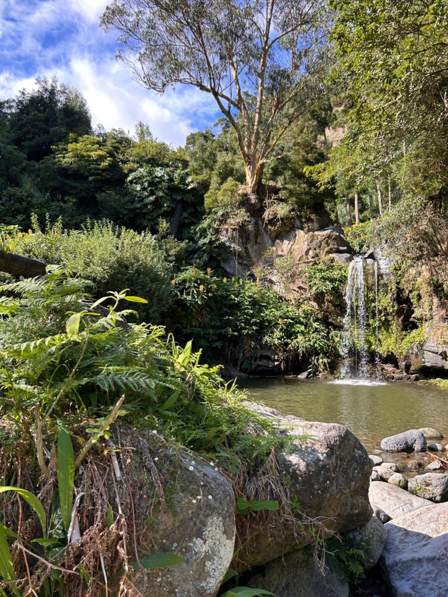 Eco Surflodge Azores Рибейра-Гранди Экстерьер фото
